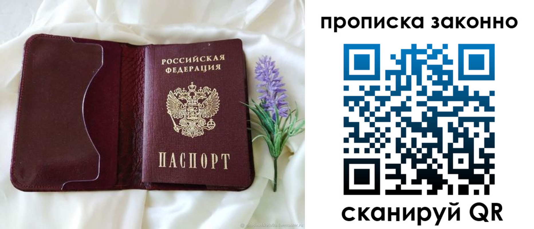 регистрация в Светлом