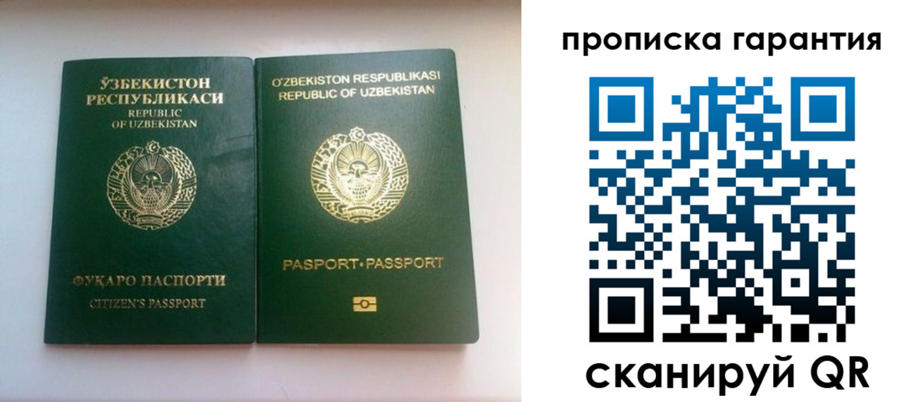 временная регистрация недорого в Светлом