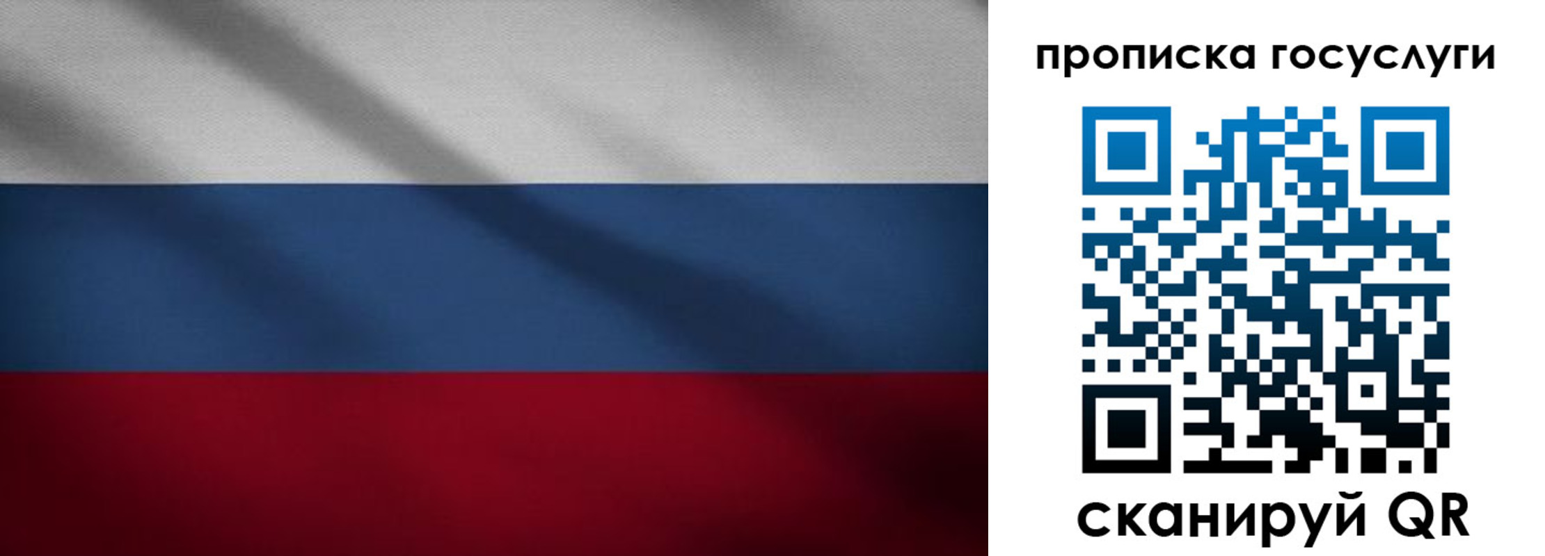 временная регистрация 2025 в Светлом